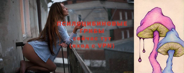 прущие крисы Белоозёрский
