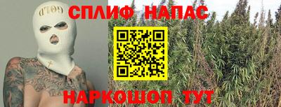 гидра Бердск