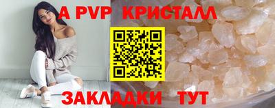 гидра Бердск