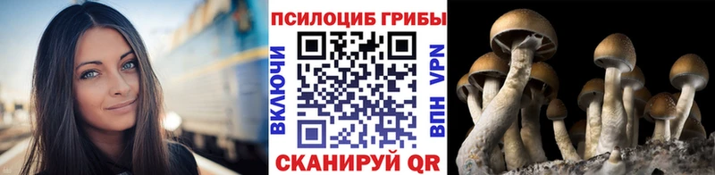 Галлюциногенные грибы мицелий omg онион Воскресенск